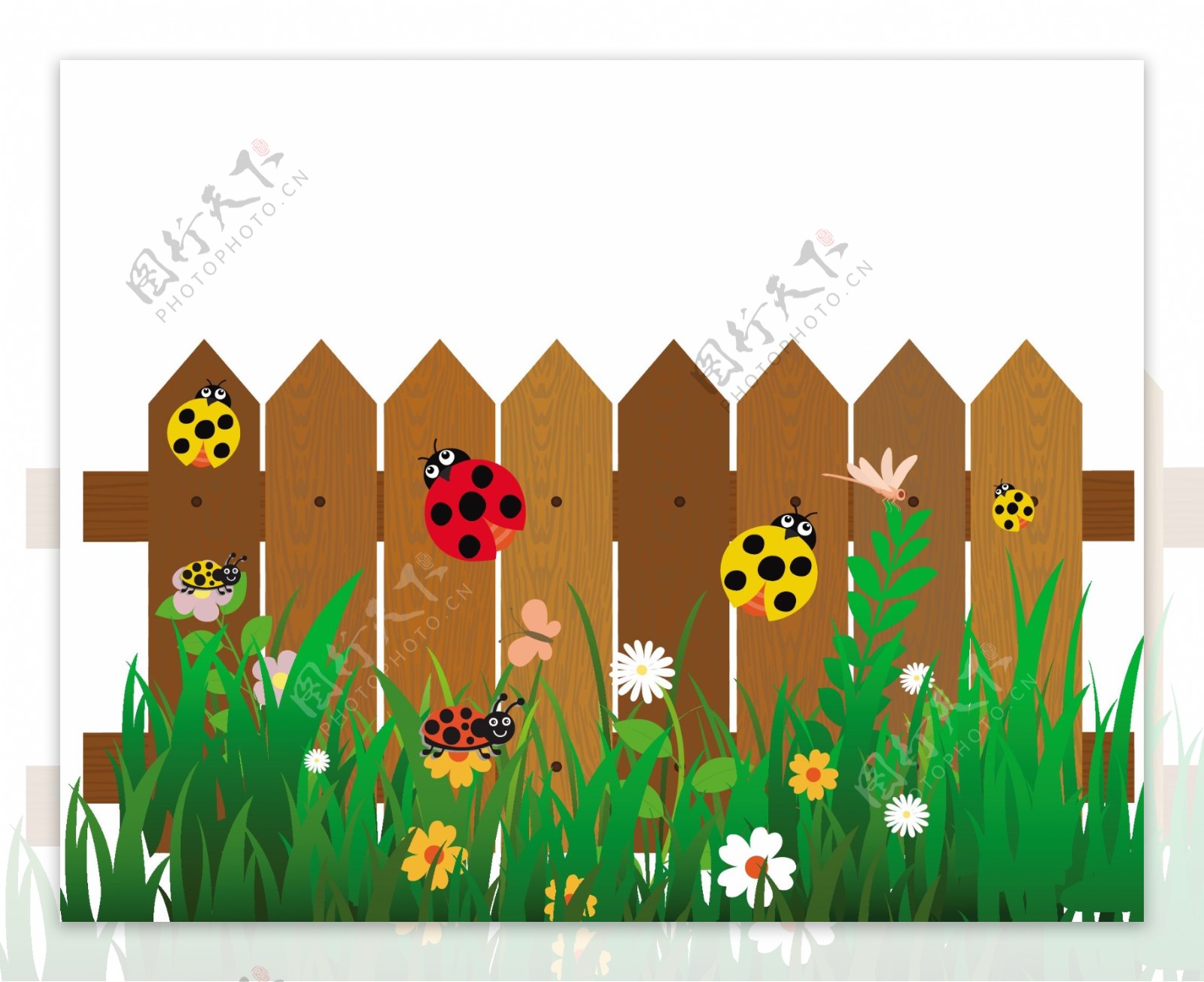 花园篱笆七星瓢虫矢量图