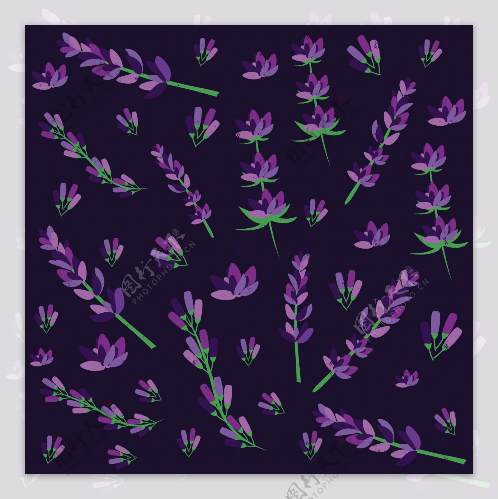 紫色薰衣草背景图