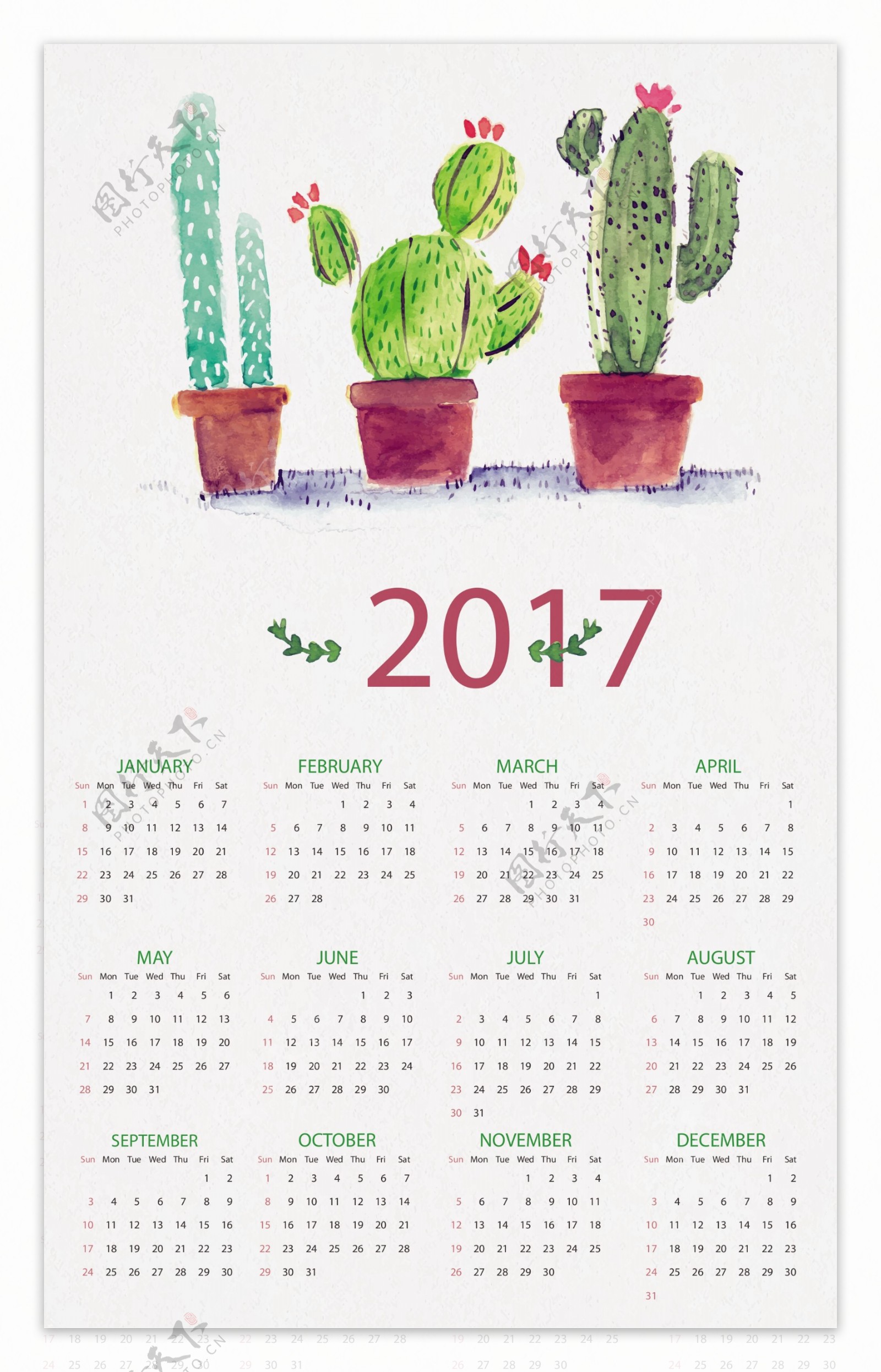 植物日历