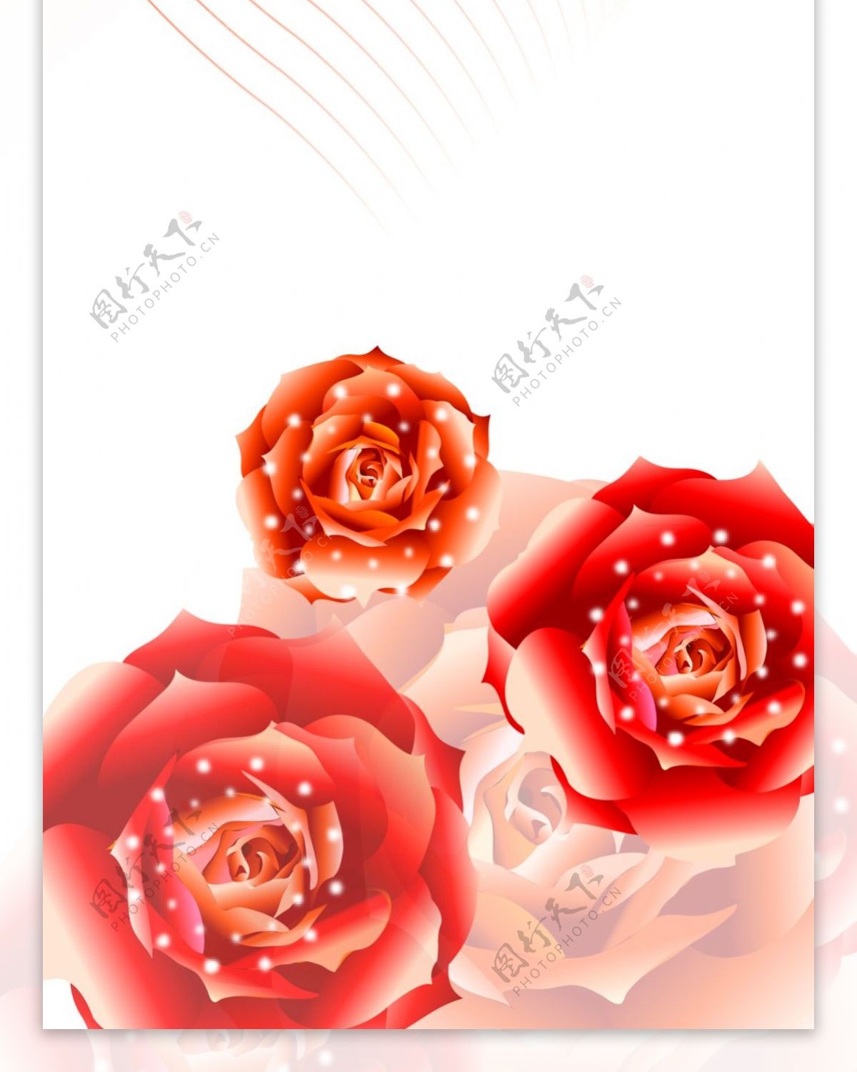 红色精美玫瑰花素材海报设计展架素材