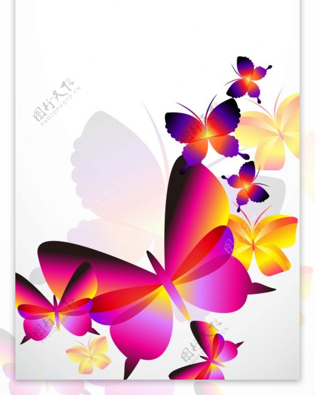 精美七彩蝴蝶展架设计模板素材海报画面素材