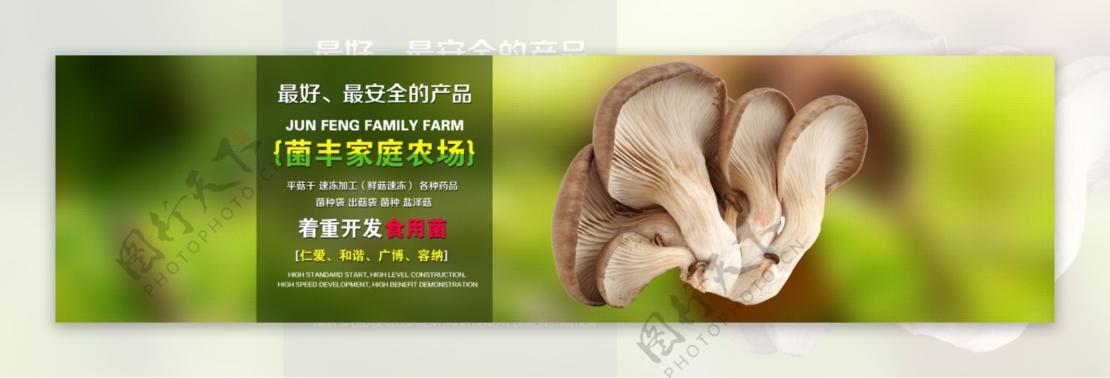 干货蘑菇香菇