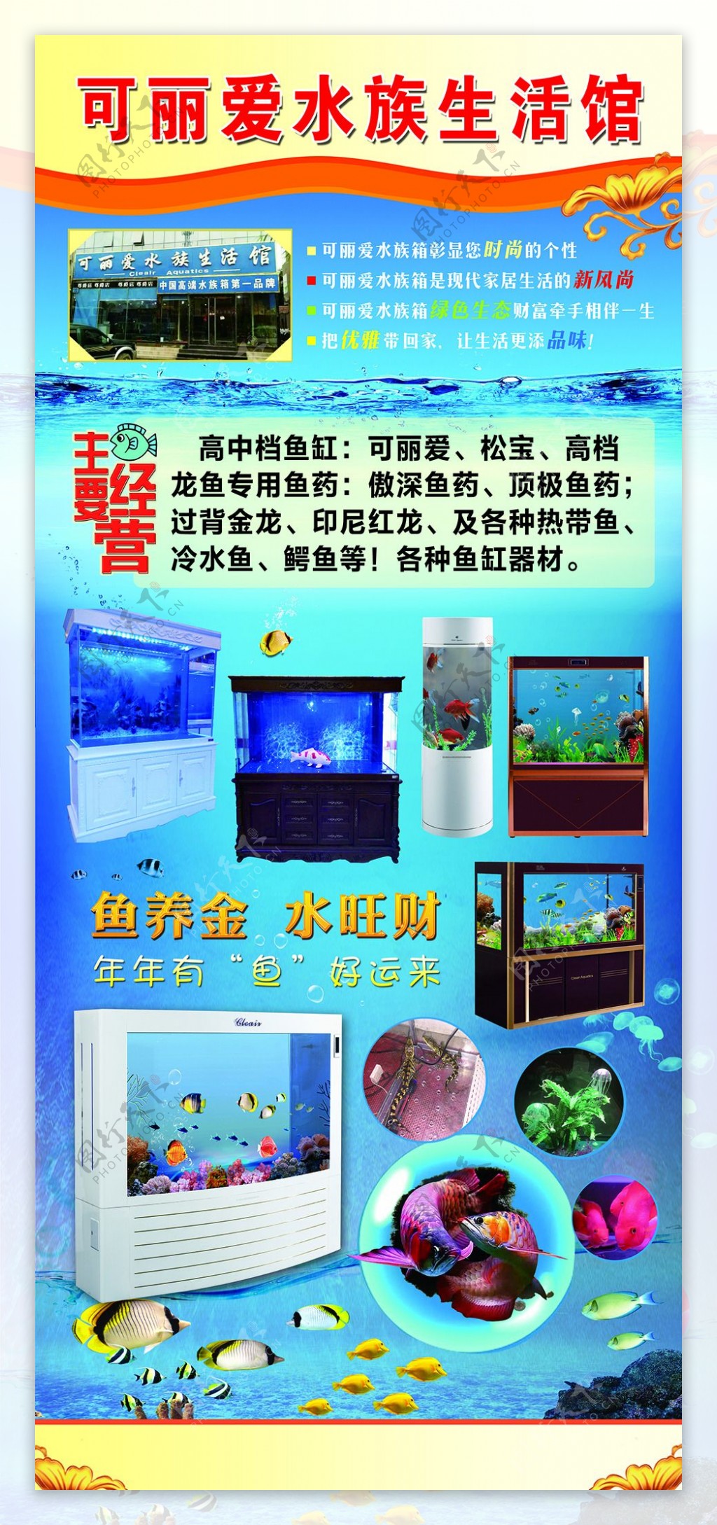 可丽爱水族馆