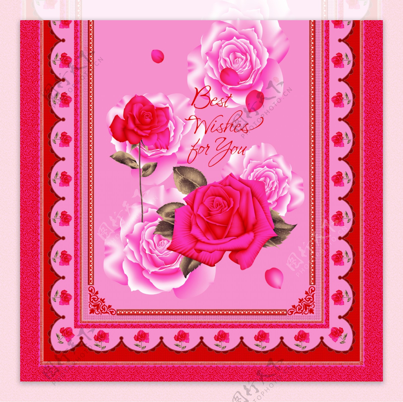 红色玫瑰花方巾