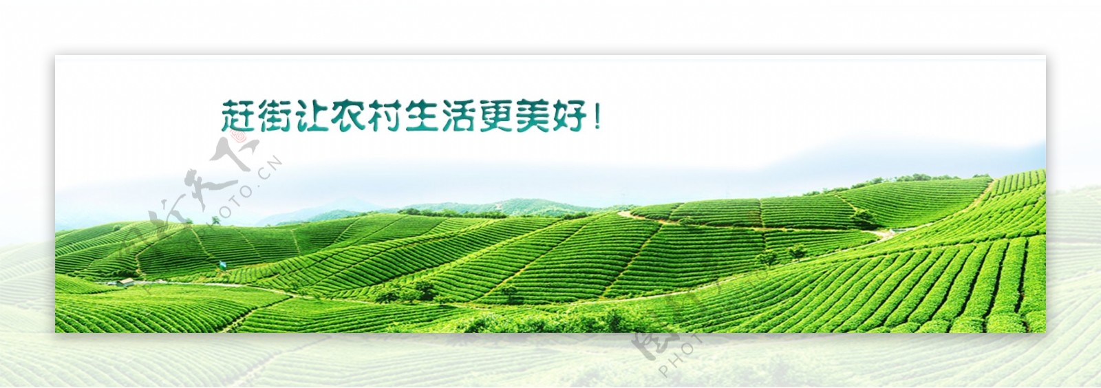 农业banner