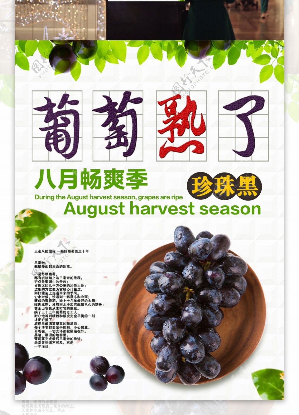 夏季新鲜水果葡萄促销海报