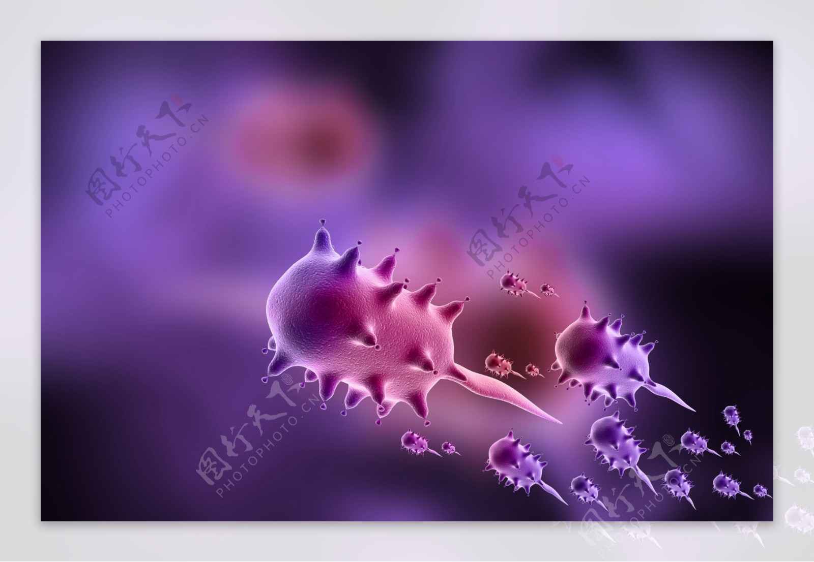 紫色带刺病毒图片