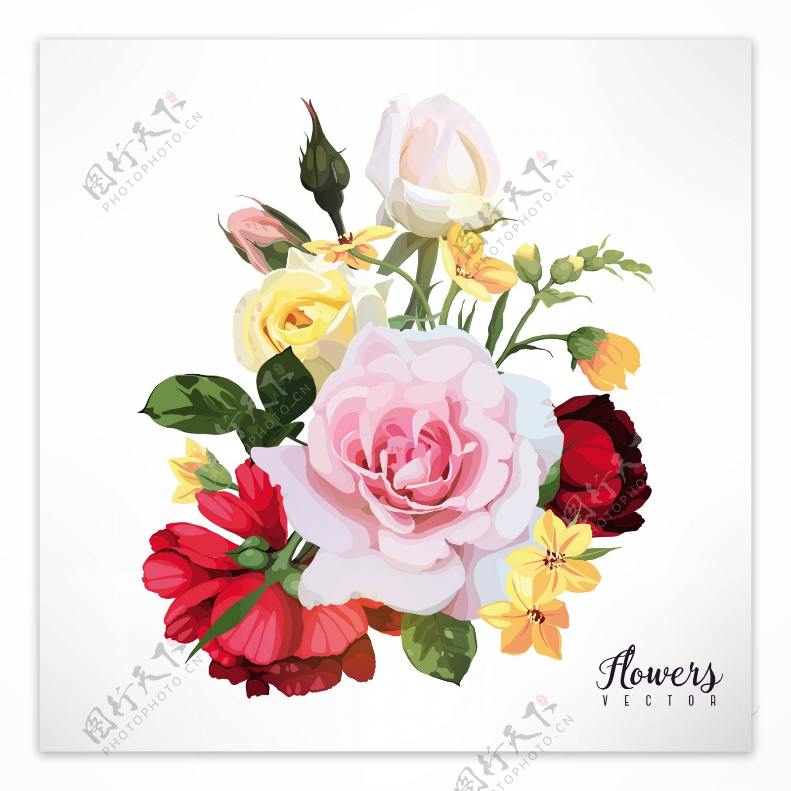 手绘玫瑰花朵高清设计素材