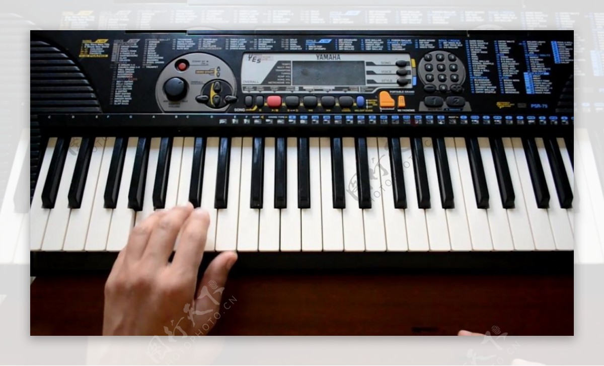 音乐乐器键盘手视频