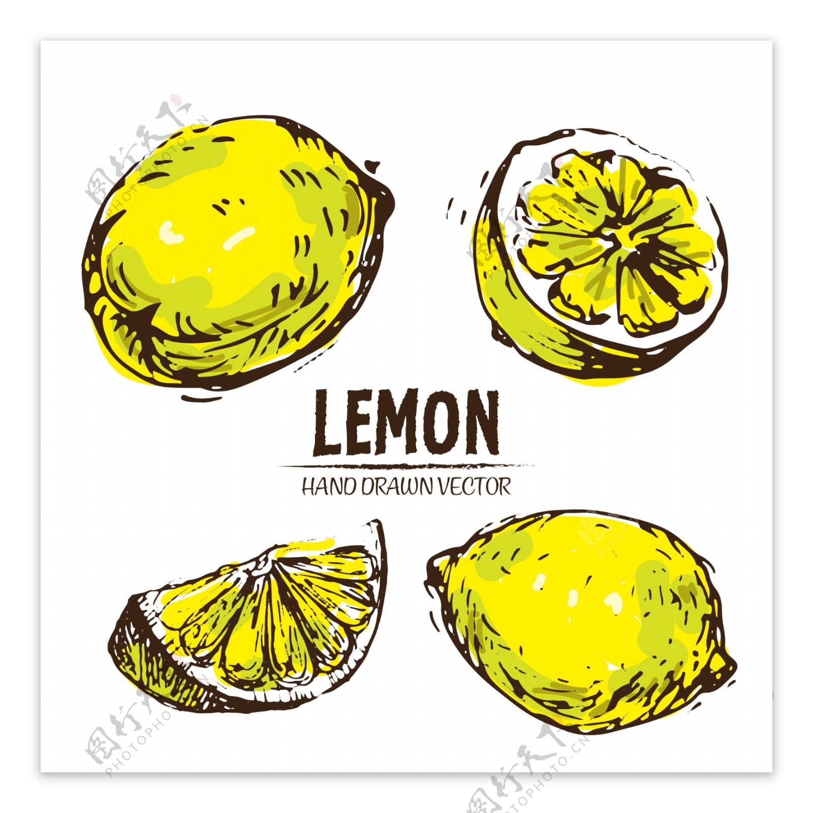 手绘柠檬插画