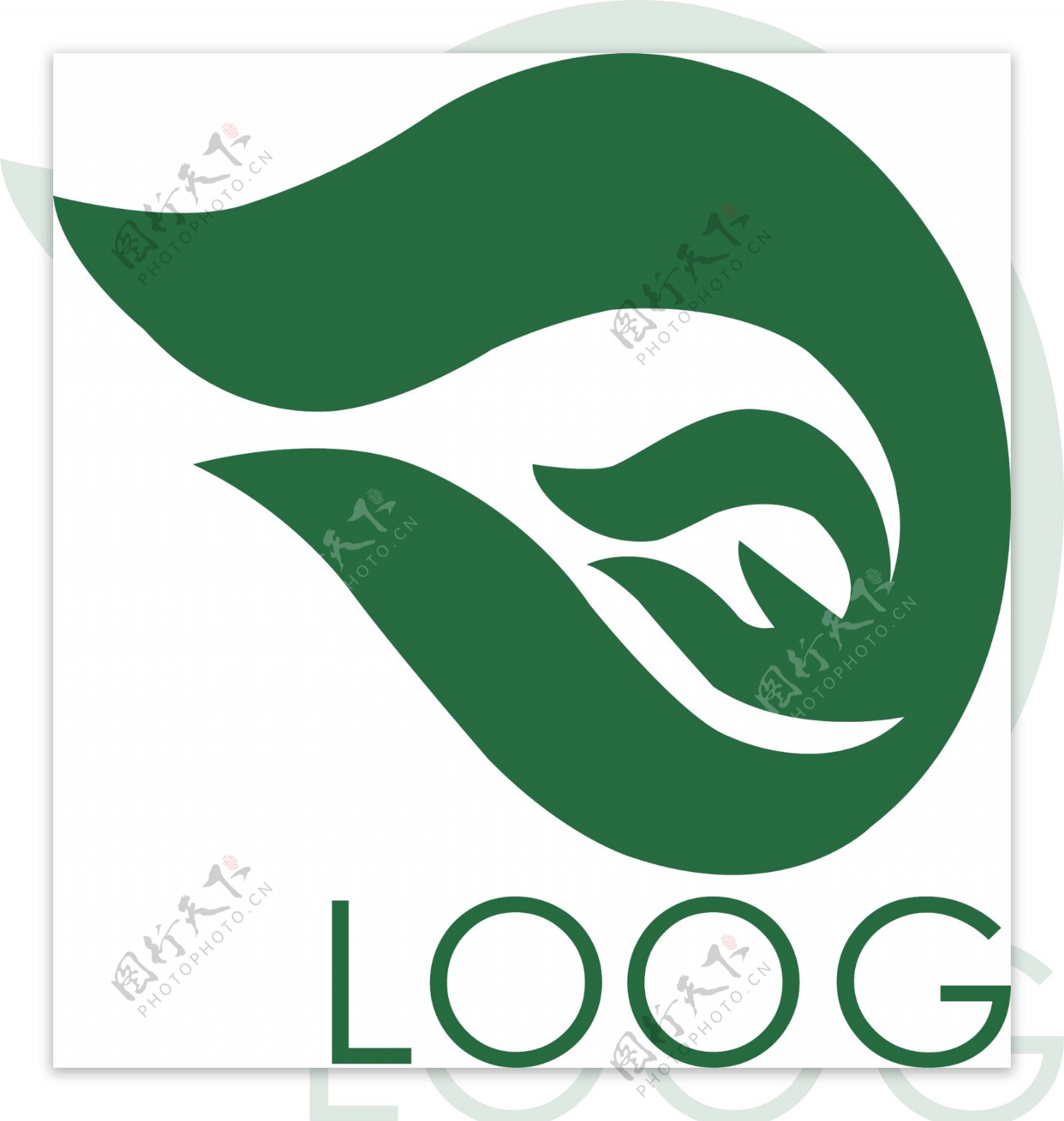 公司LOOG