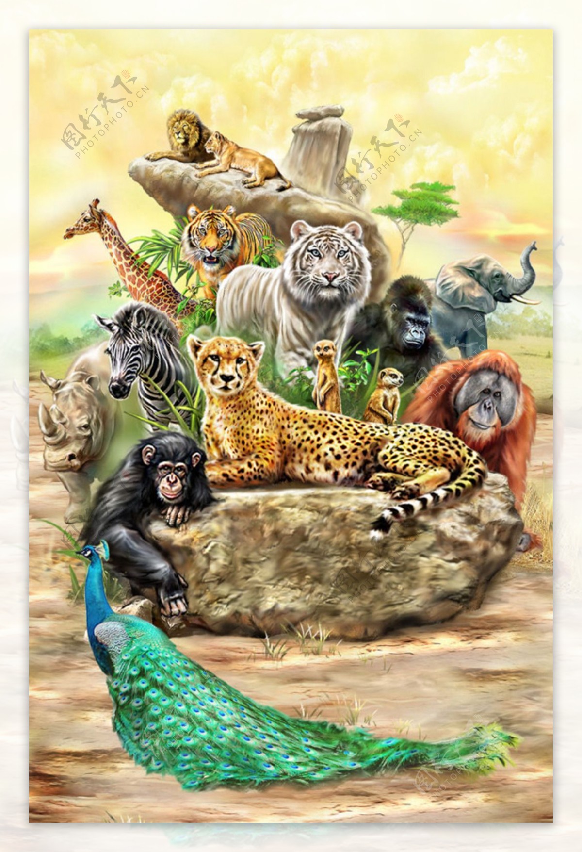 手绘森林动物海报模板下载