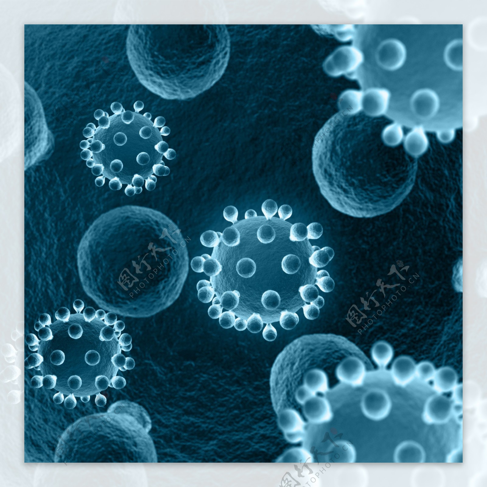 人体内的病毒图片