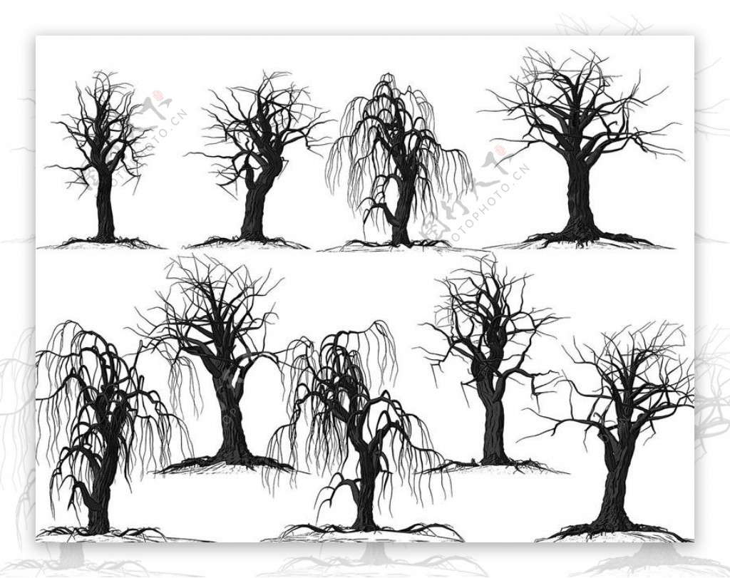 多种冬季枯树和树木PS笔刷