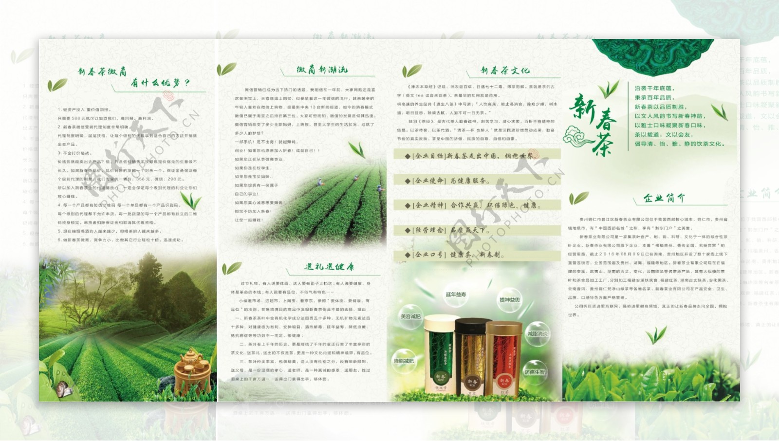 茶叶折页茶四折页茶叶四折页