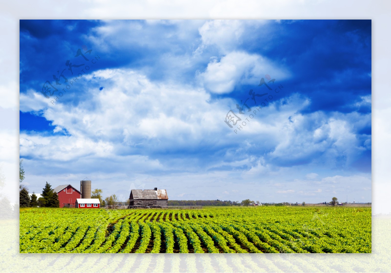 蓝天下的农田与房屋图片