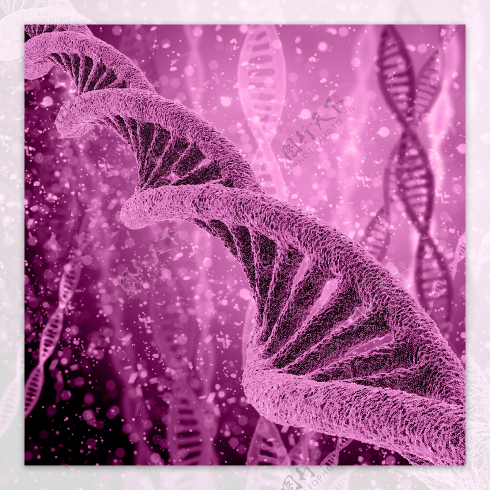 紫色DNA双螺旋结构图片