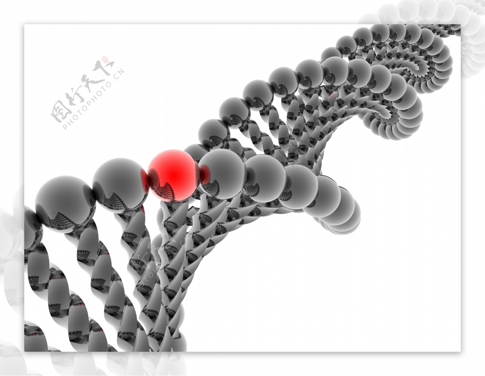 双螺旋DNA链图片