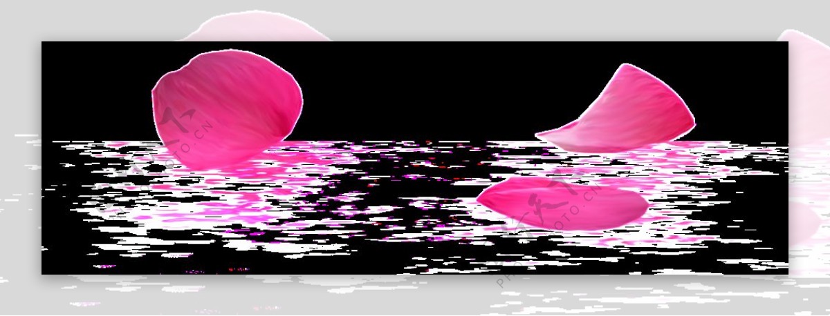 粉色花瓣水纹背景