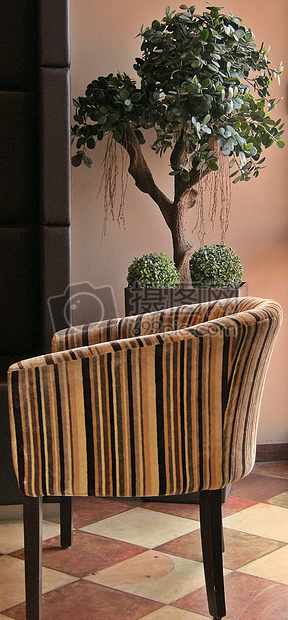 咖啡椅子和植物