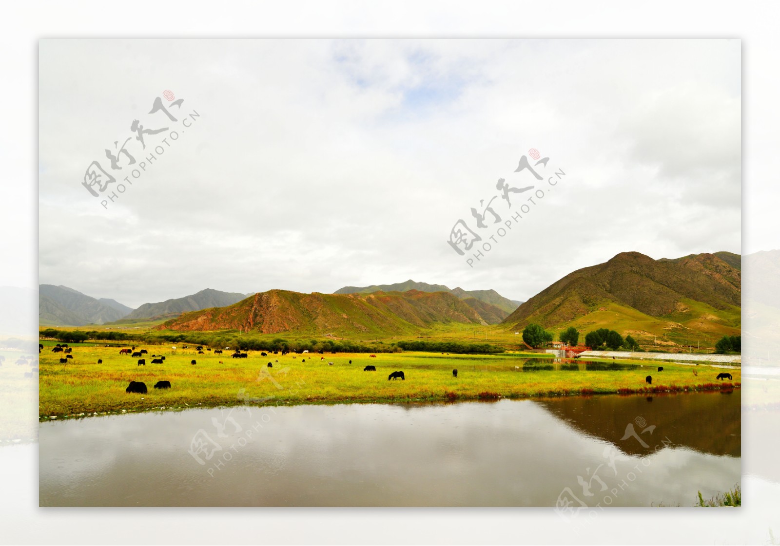 甘肃甘南桑科草原风景