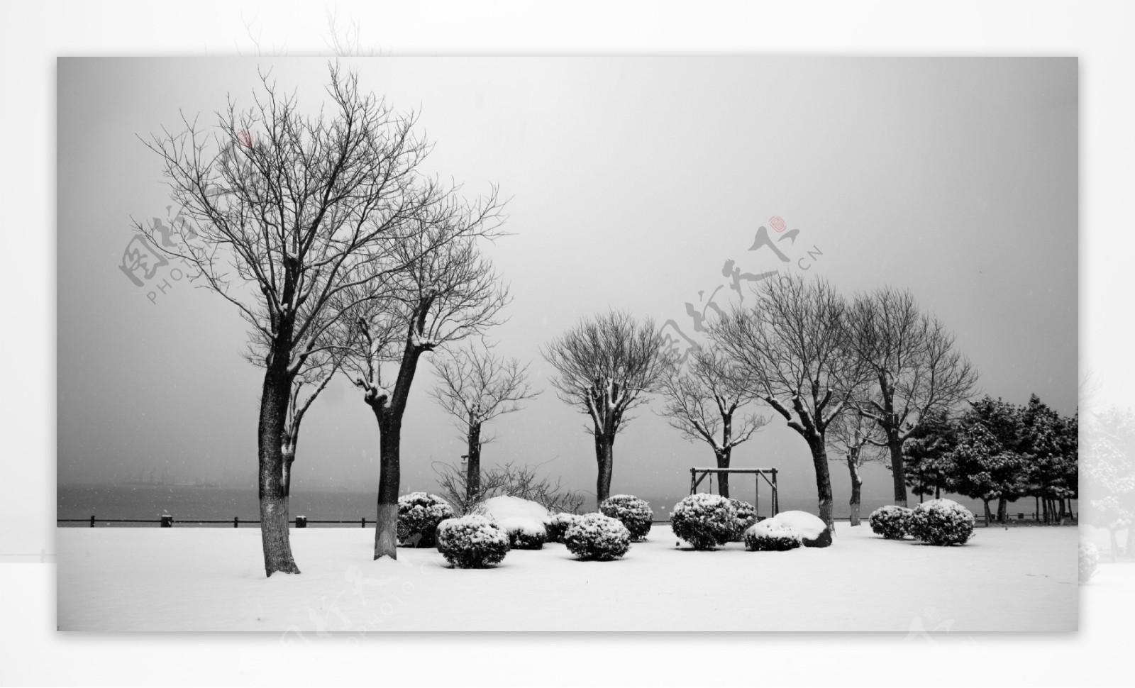 山东威海的雪景