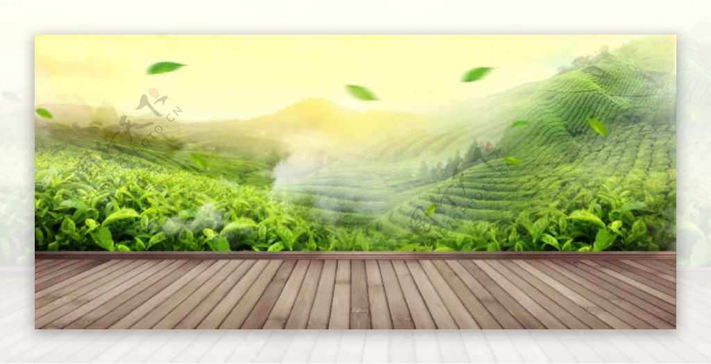 绿色茶园木板装饰茶叶