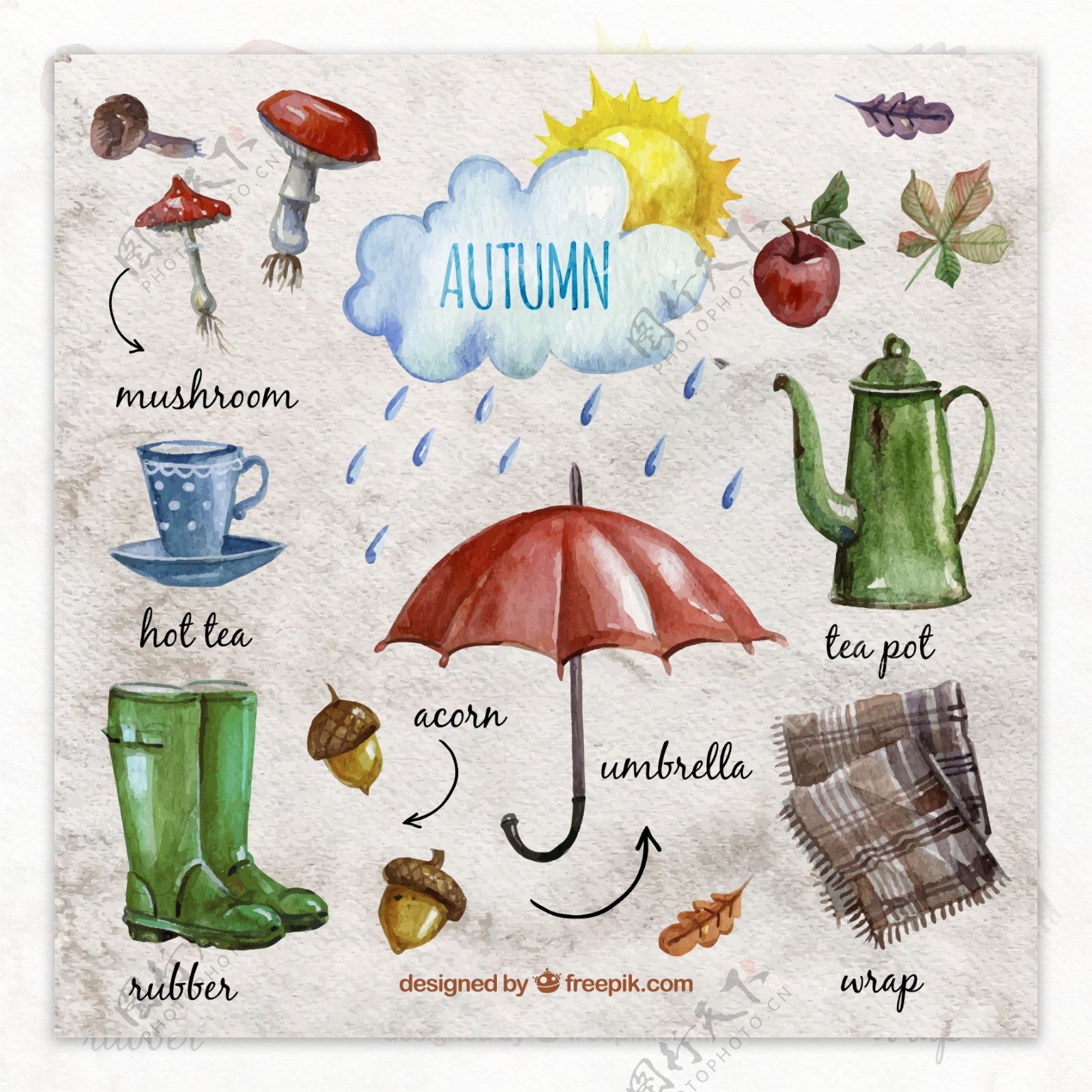 15款水彩绘秋季元素矢量图