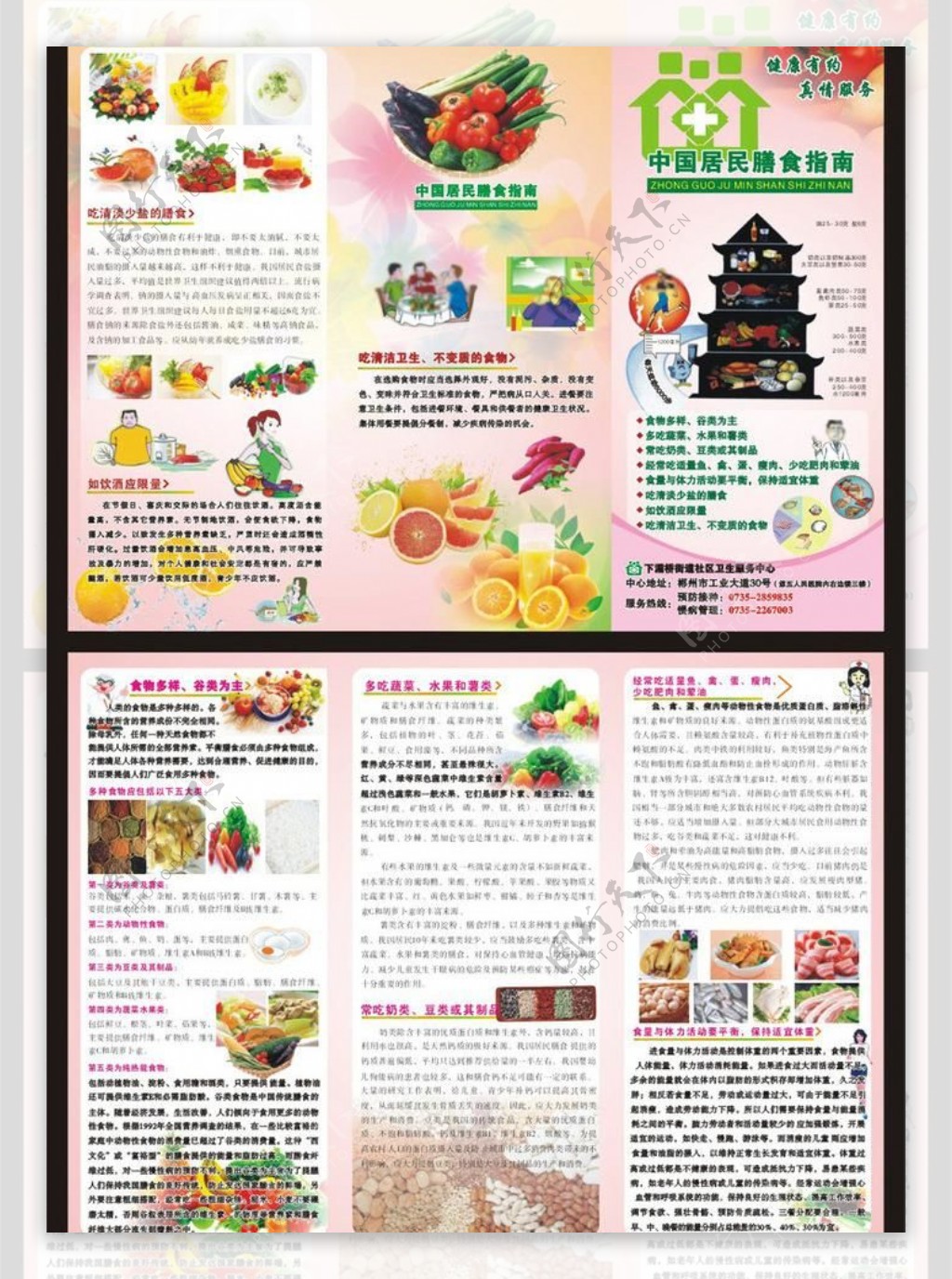 中国居民膳食指南三折页