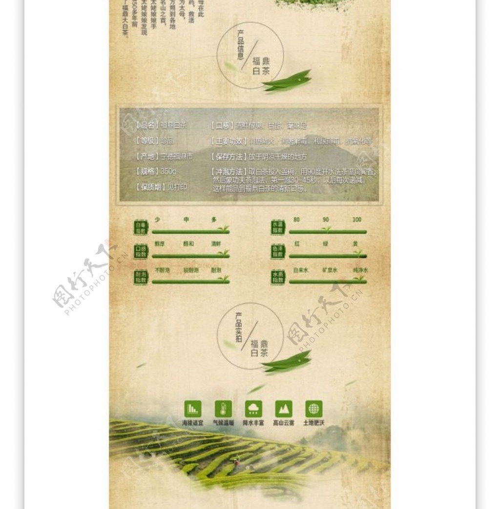 淘宝电商详情页福鼎白茶
