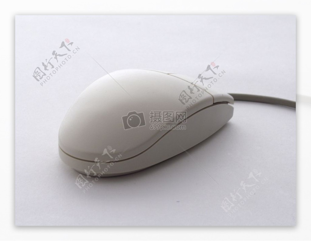 mouse0008.jpg
