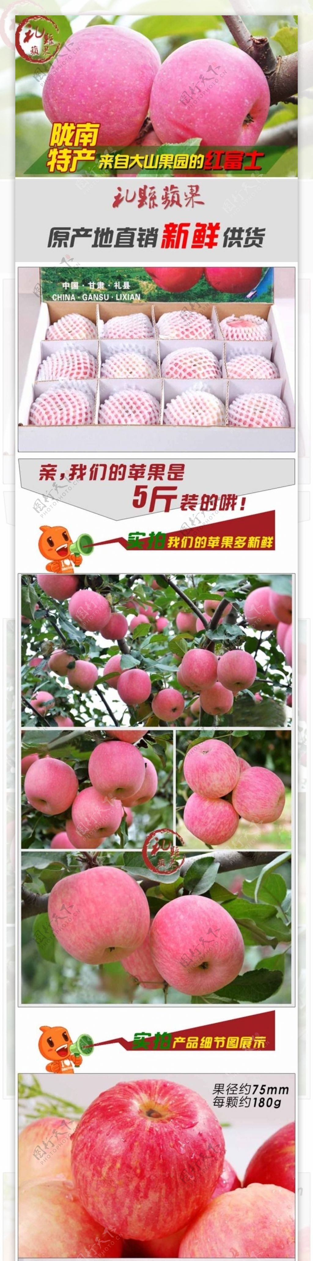 山东礼县红富士苹果水果描述图psd