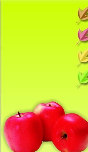 鲜花水果礼品类名片模板CDR2216