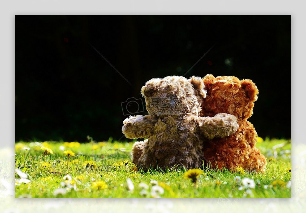 草地上的一对泰迪熊