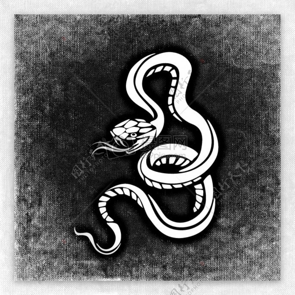 蛇危险背景黑与白