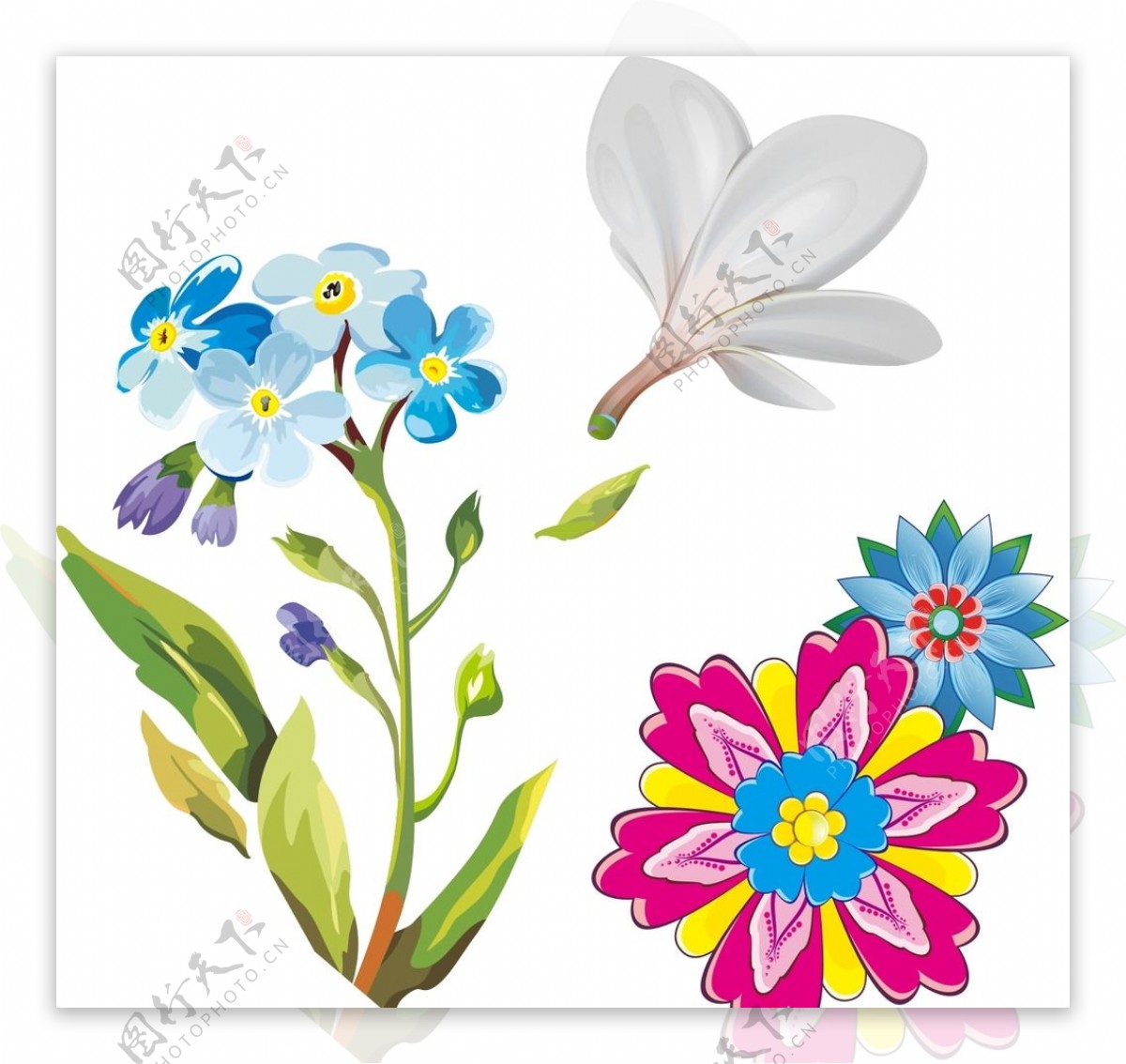 蓝色花朵白色花朵