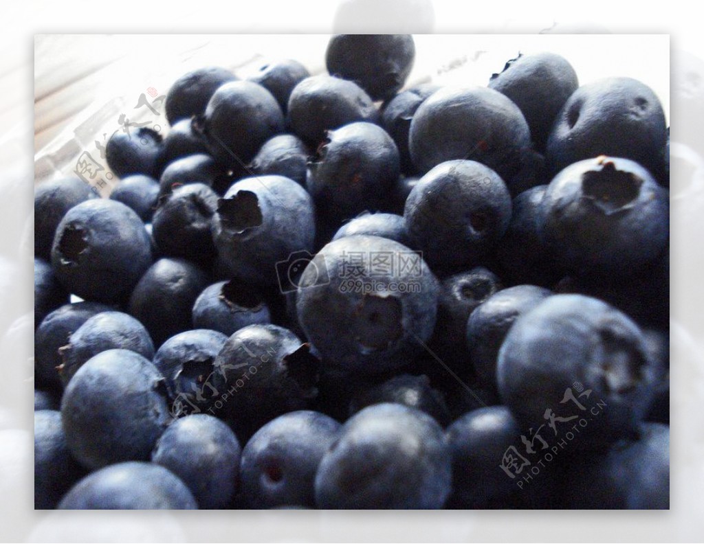 新鲜的蓝莓果