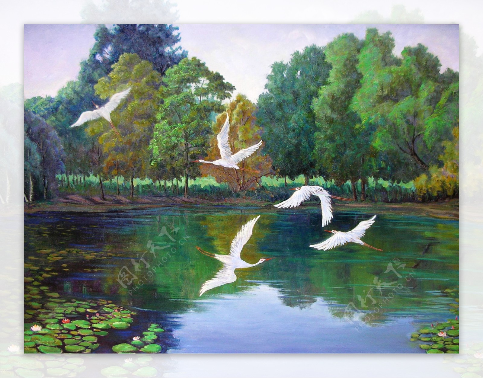 池塘上空的丹顶鹤油画图片