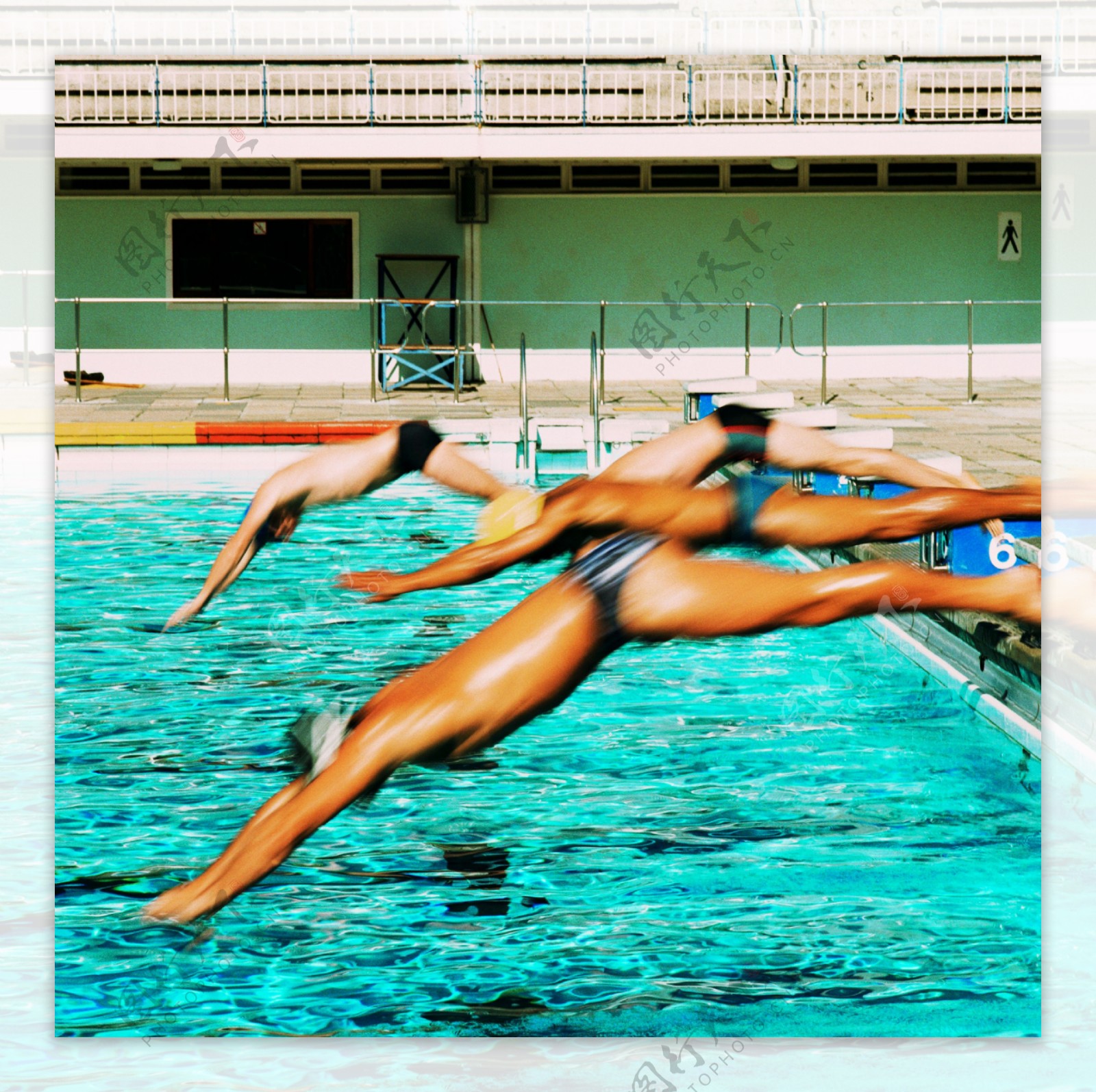 跳水运动素材图片