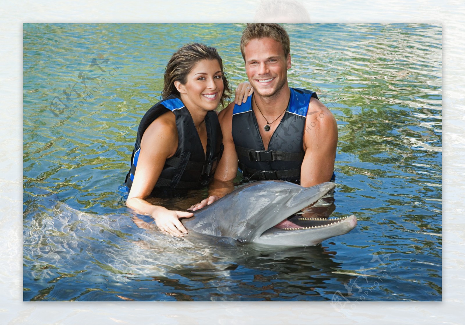 水中抱海豚的蜜月情侣图片