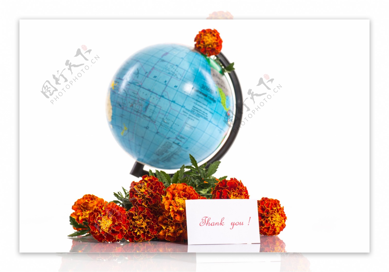 地球仪旁边的花朵图片