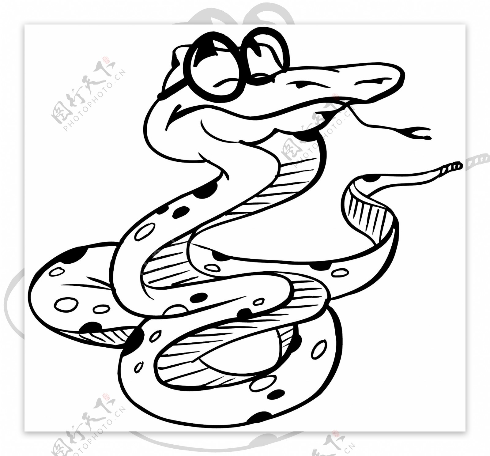 蛇爬行动物矢量素材eps格式0034