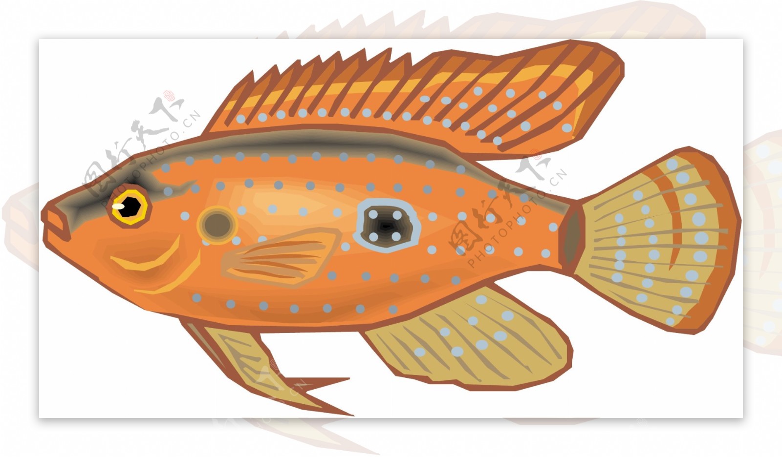 五彩小鱼水生动物矢量素材EPS格式0145