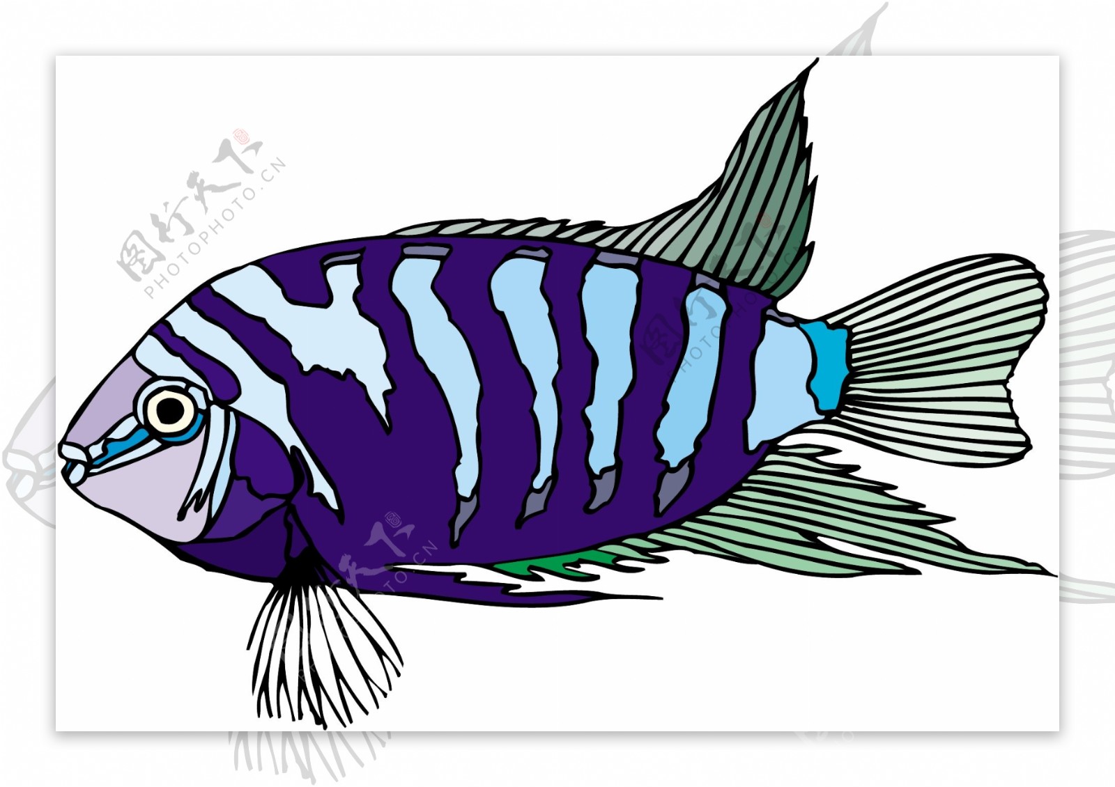五彩小鱼水生动物矢量素材EPS格式0165
