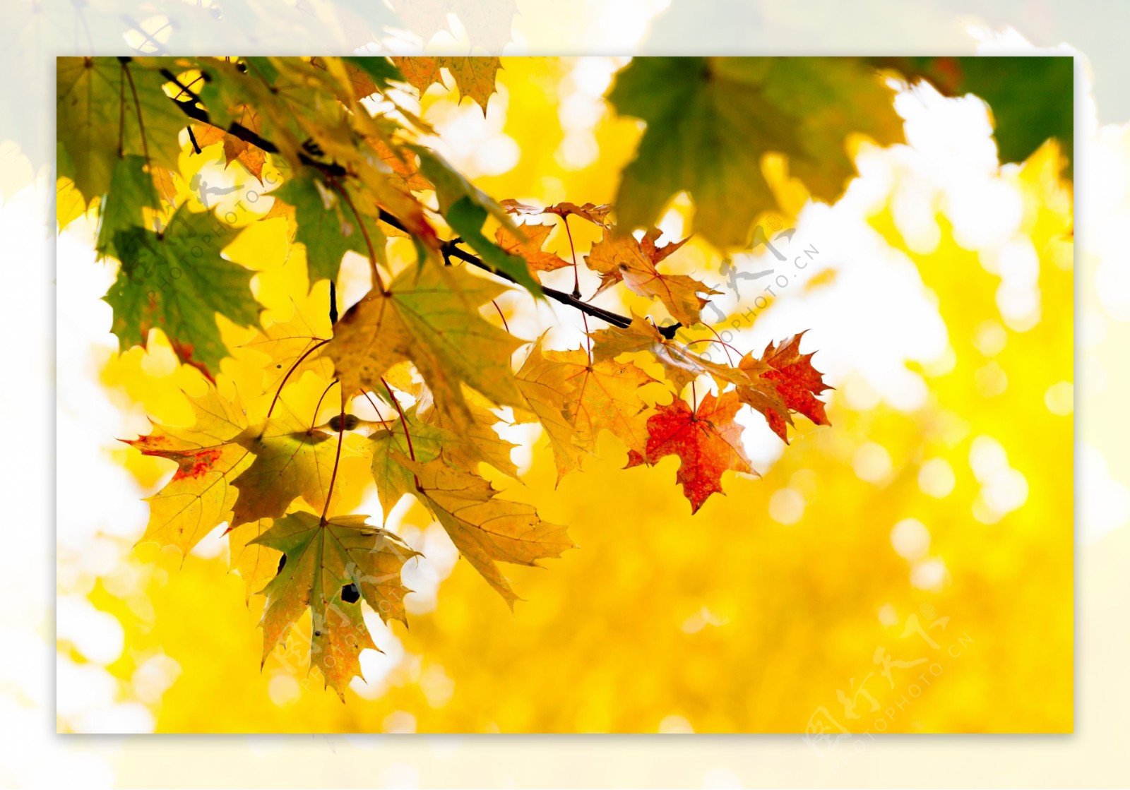 秋季风景图片