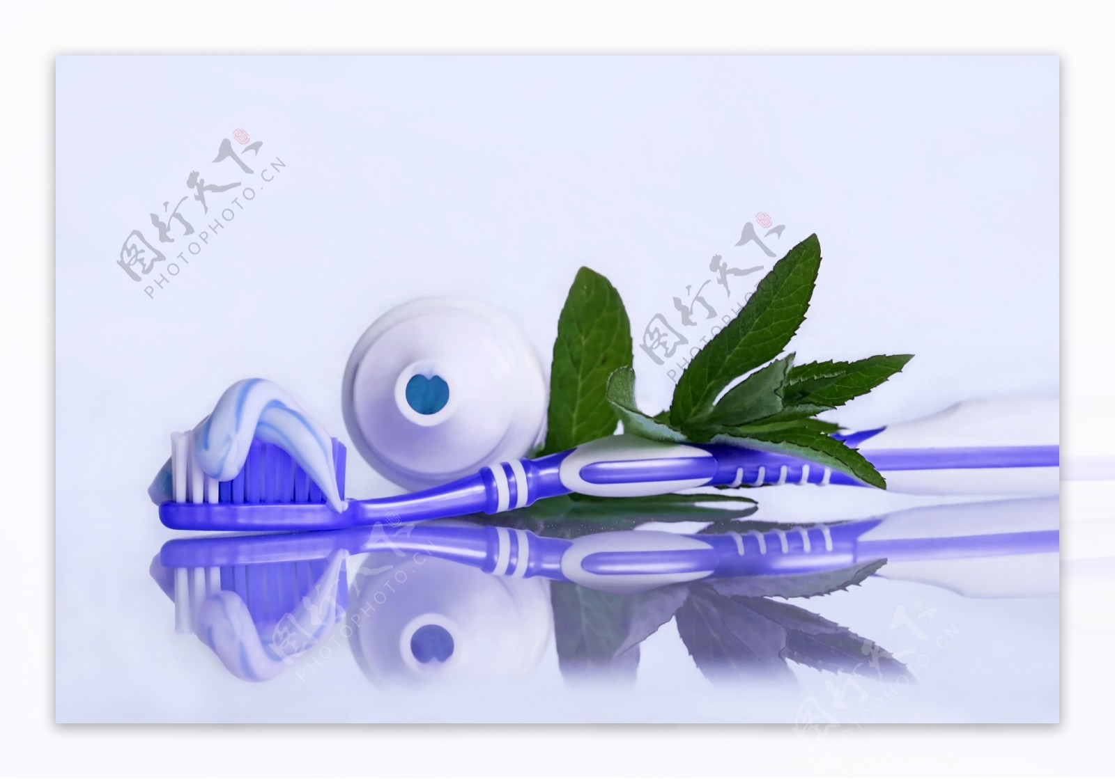 牙膏牙刷和绿叶图片