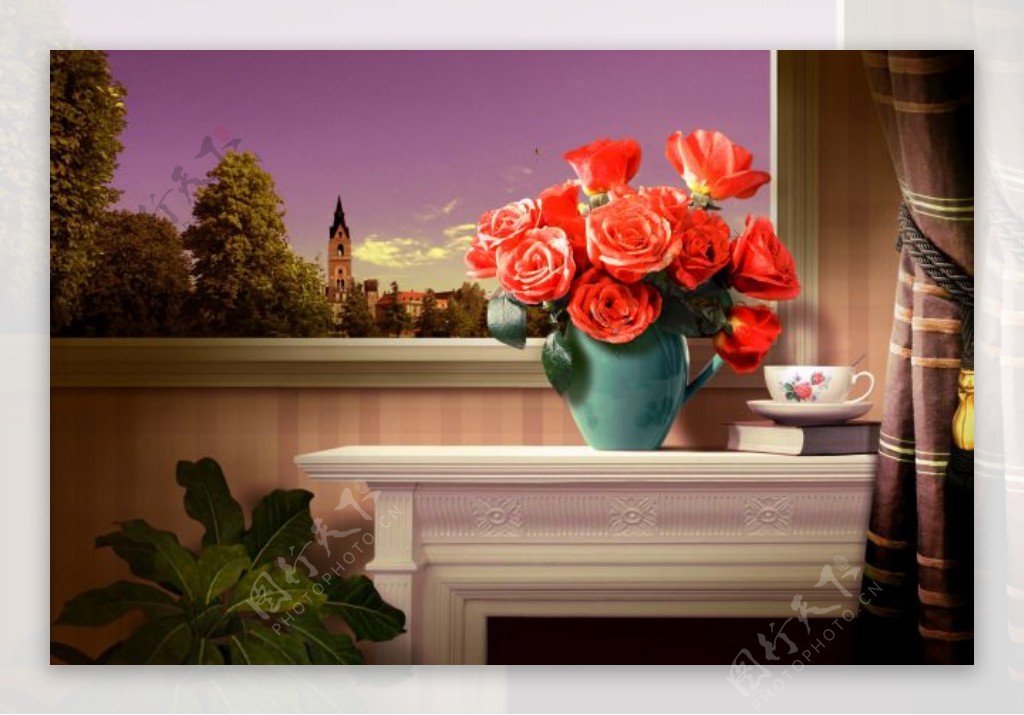 窗台上的玫瑰花