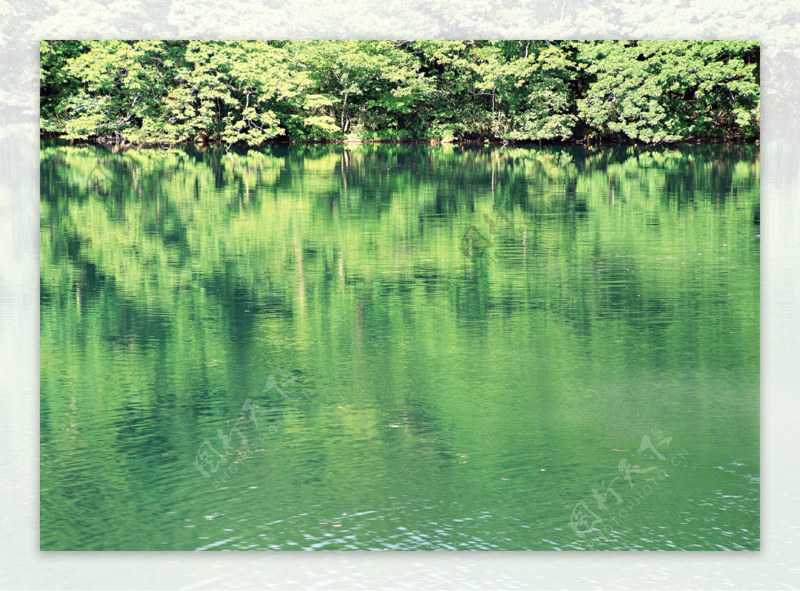 美丽湖泊倒影图片