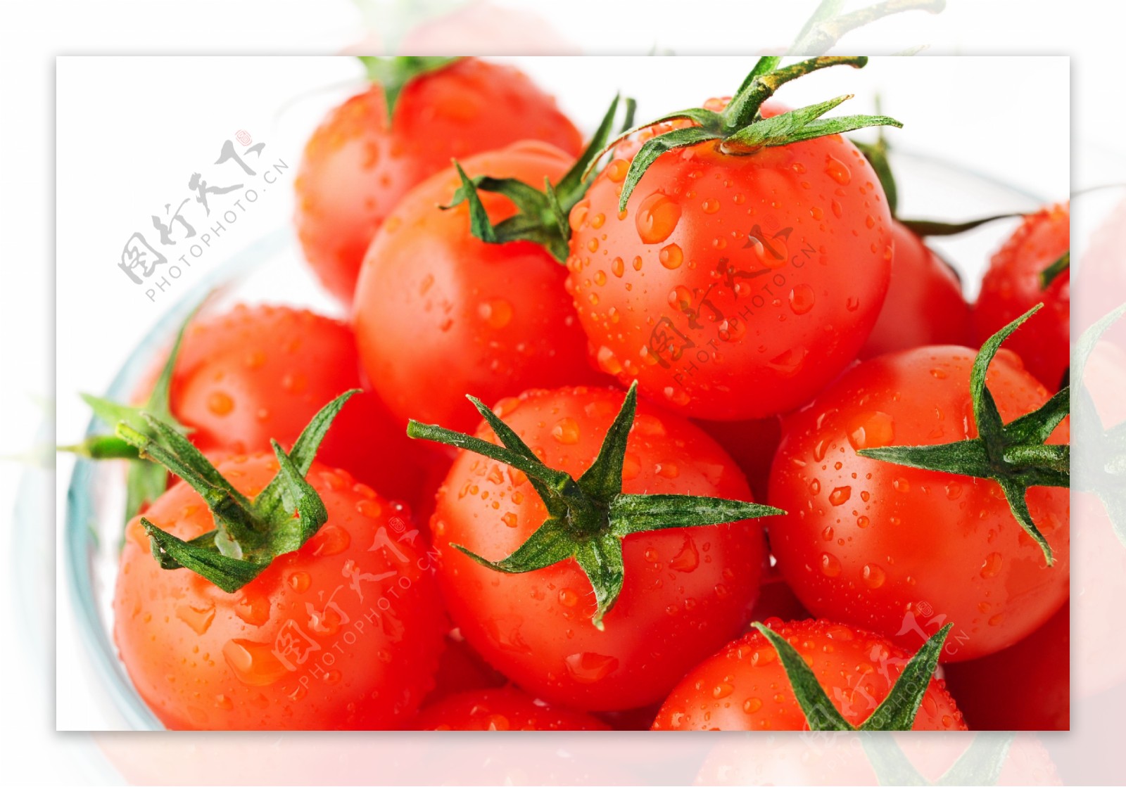 盘子里的西红柿图片
