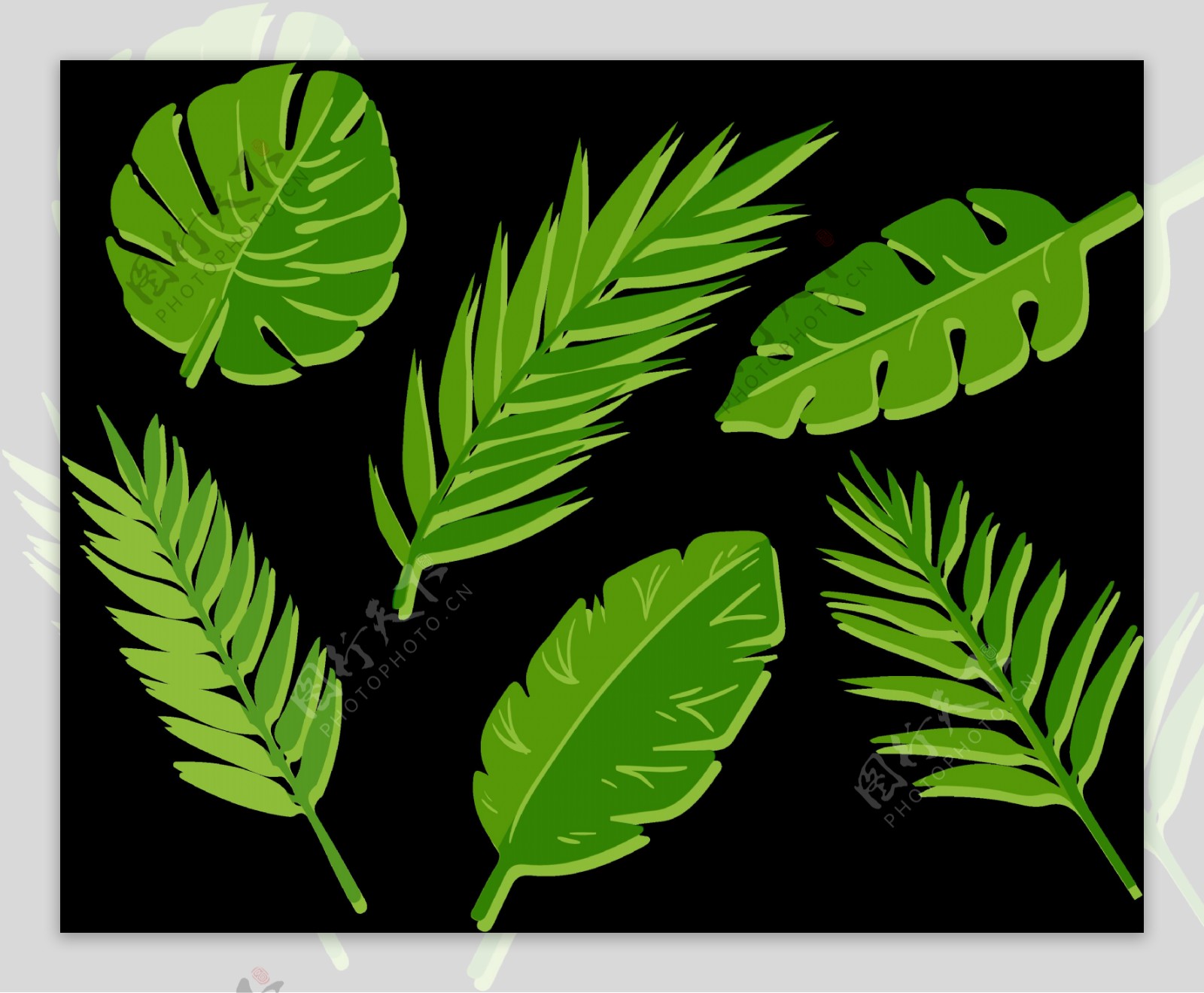 绿色棕榈叶子免抠png透明图层素材